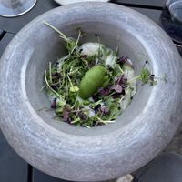 Green leaves at VeVe in Copenhagen