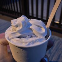 Cookie Monsta with coconut milk whipped cream   at Dear Bella Creamery in Hollywood