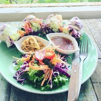 Veg rolls at Pure Vegan Heaven in Koh Phangan