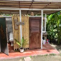   at Pure Vegan Heaven in Koh Phangan