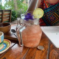   at Pure Vegan Heaven in Koh Phangan