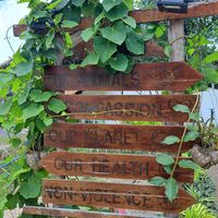  at Pure Vegan Heaven in Koh Phangan