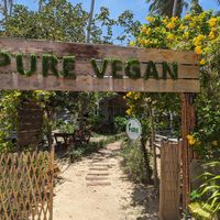  at Pure Vegan Heaven in Koh Phangan