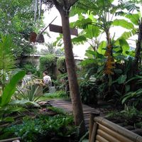 Lovely garden setting. at Pure Vegan Heaven in Koh Phangan