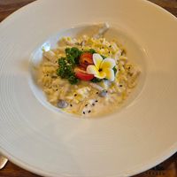  at Pure Vegan Heaven in Koh Phangan