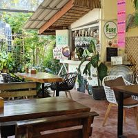  at Pure Vegan Heaven in Koh Phangan
