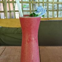  at Pure Vegan Heaven in Koh Phangan