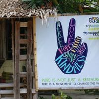 Pure Vegan Heaven at Pure Vegan Heaven in Koh Phangan