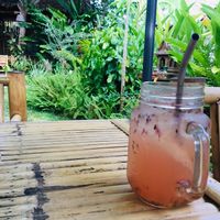 Lavender Yuzu Tea at Pure Vegan Heaven in Koh Phangan