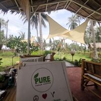 😍 at Pure Vegan Heaven in Koh Phangan
