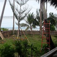 View out to the sea at Pure Vegan Heaven in Koh Phangan