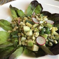 Sprouted bean salad  at Waldorf Astoria - The Zen Kitchen in Las Vegas
