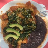 Vegan chilaquiles at El Manatí in Bacalar