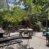 garden  at El Manatí in Bacalar