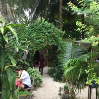 Recommend:) at El Manatí in Bacalar