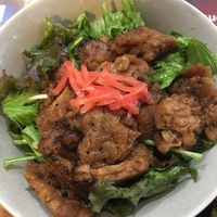   at SOJO Esperanto-Vegana Kafejo in Tokyo