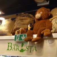  at Little Barista in Burnley