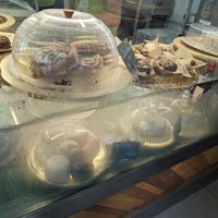  at Khambú Quart in Valencia