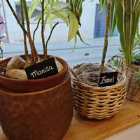  at Khambú Quart in Valencia