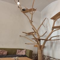  at Pelíšek in Brno