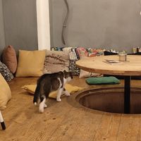  at Pelíšek in Brno