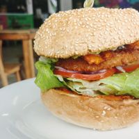 Chipotle chik'n burger  at MooFree Burgers  in Maroochydore