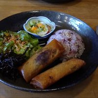 Vegan spring rolls - July 2020 at Hakko in Hirao