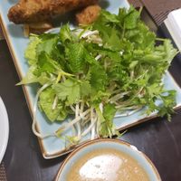 Fried Hanoi Spring Roll at The Veg - Organic Vego and Tea in Hanoi