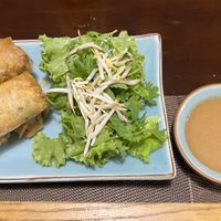 Fried spring rolls   at The Veg - Organic Vego and Tea in Hanoi