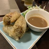 Fried hanoi spring rolls  at The Veg - Organic Vego and Tea in Hanoi