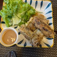 fried hanoi spring rolls at The Veg - Organic Vego and Tea in Hanoi