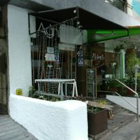 View from sidewalk at AMMA PERU in Miraflores