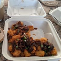 Animal Tots  at J Selby's in St Paul