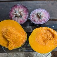 Star Apple. (and mango). at Champion in Moorea