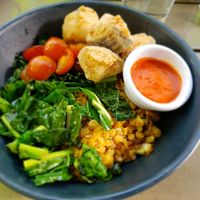 Moroccan Bowl, the eggplant breaded with rice flour...happy GF vegan here! at Wild Root Cafe in Boise