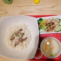 Chicken rice at Harmony Hut International Food in Northeast Singapore
