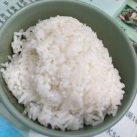 Boiled rice  at Yat Sum Vegetarian - 一森素食 - Yau Ma Tei in Kowloon