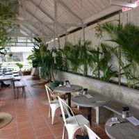 Jungle rooftop at Vibe Cafe in Phnom Penh