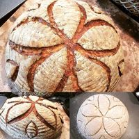 freshly baked bread at Wildcraft Bakery in Leeds