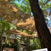 Decor #Veganuary at 100% Natural in Playa Del Carmen