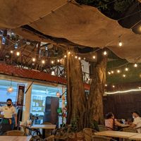 Restaurant at 100% Natural in Playa Del Carmen