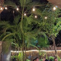 Restaurant at 100% Natural in Playa Del Carmen