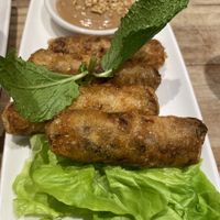 Spring Rolls   at Pho in Birmingham