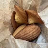 madeleines  at VG Pâtisserie in Paris