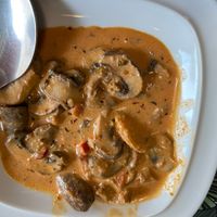 Mushrooms  at Musgo in Aveiro