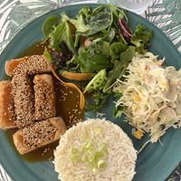 Tofu special with rice, slaw, and saladd  at Musgo in Aveiro