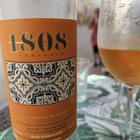 Great vegan rosé wine. at Musgo in Aveiro