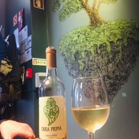Good selection of wines at Musgo in Aveiro