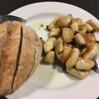 Mushrooms with ginger and lemon  at Musgo in Aveiro