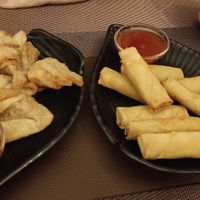 Wantan chien und Mini Frühlingsrollen at Peace Food in Essen